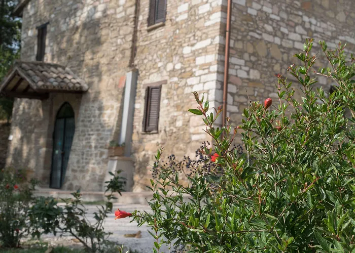 B&B Cantico Delle Creature